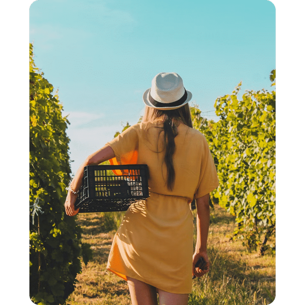 organic custom image 5.png